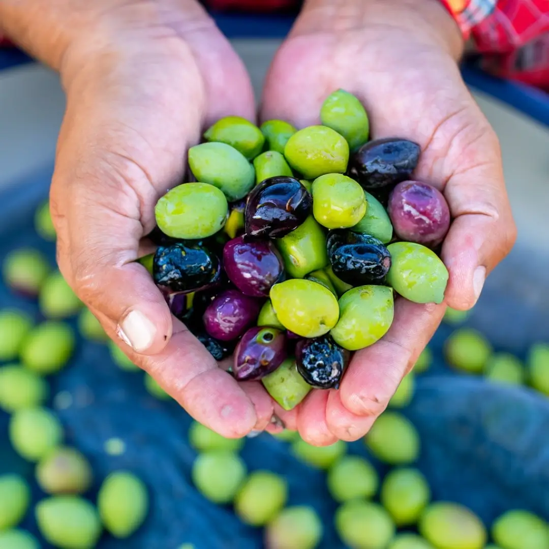 Corporations Too Event